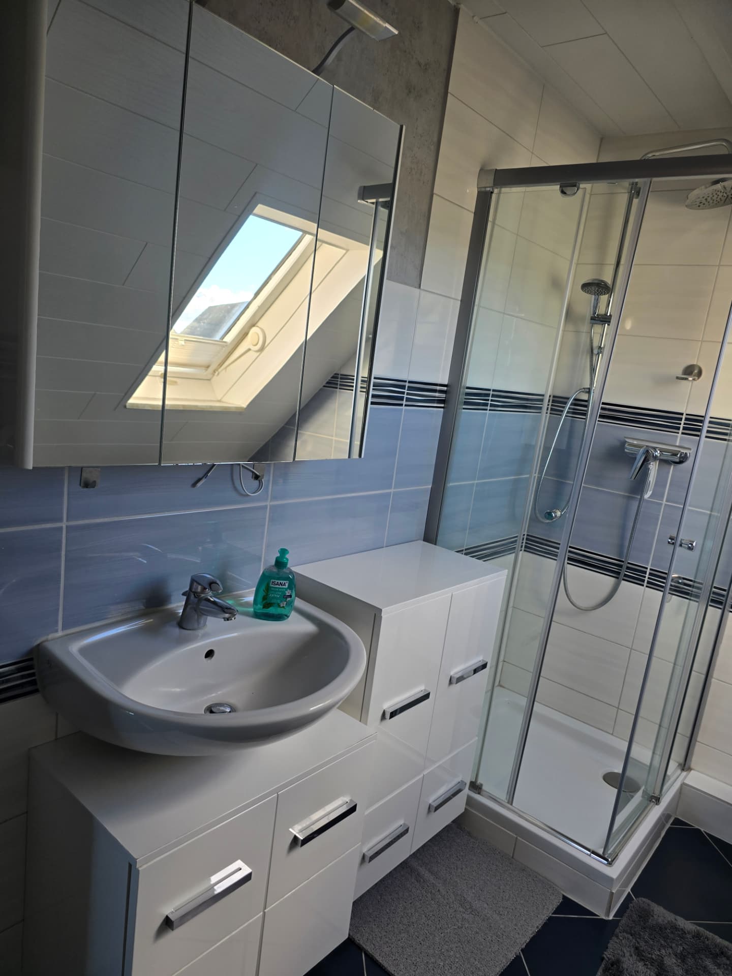 Waschtisch mit Spiegelschrank und Duschkabine im Duschbad des See Adler