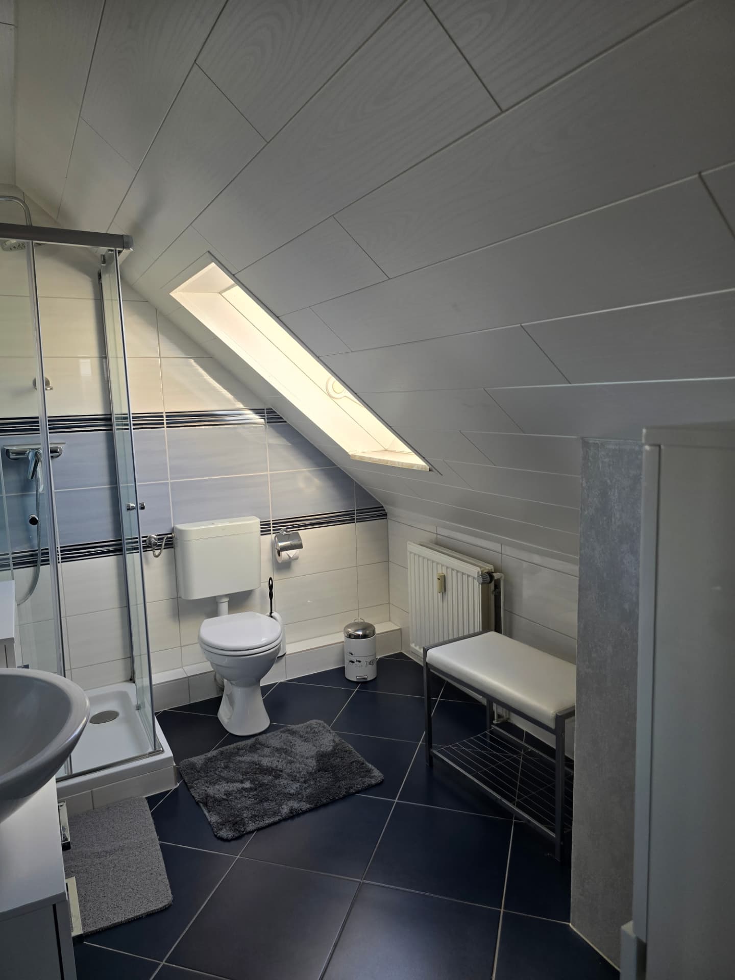 Duschbad mit Dusche, WC, Sitzbank und Dachfenster im See Adler